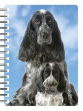 Cocker Spaniel with puppy 3D