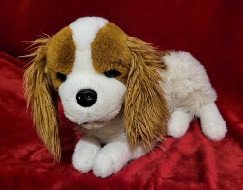Chad valley puppy - chad, white