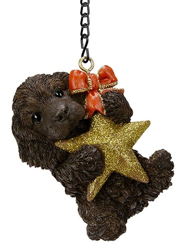 Vivid arts hanging mini star - arts,