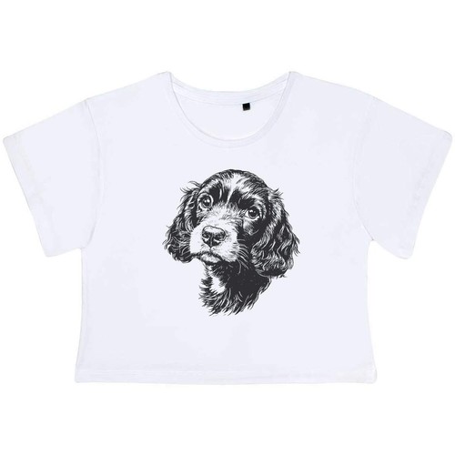 Cocker spaniel puppy women - 'cocker, puppy'