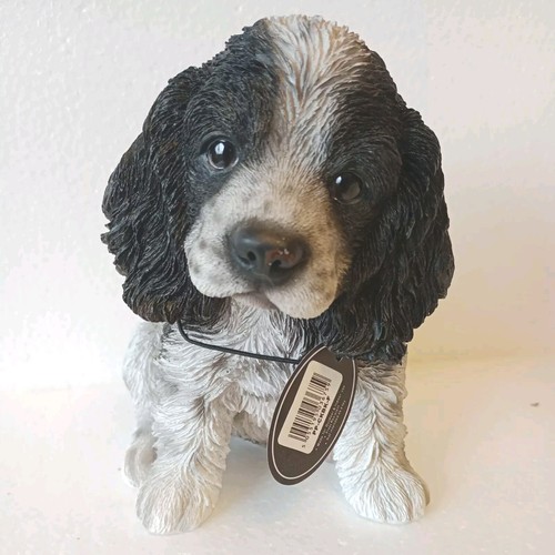 Vivid arts pet pals - vivid,