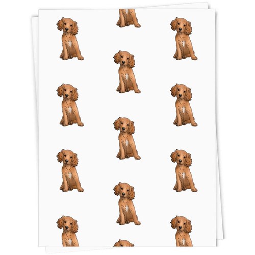 Cocker spaniel puppy - 'cocker,