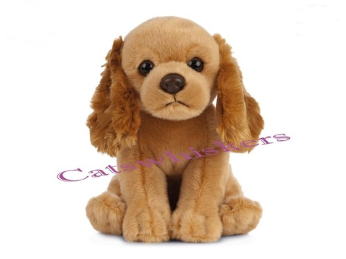 Sitting cocker spaniel puppy - sitting,