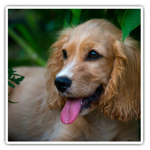 Square stickers cm - square,