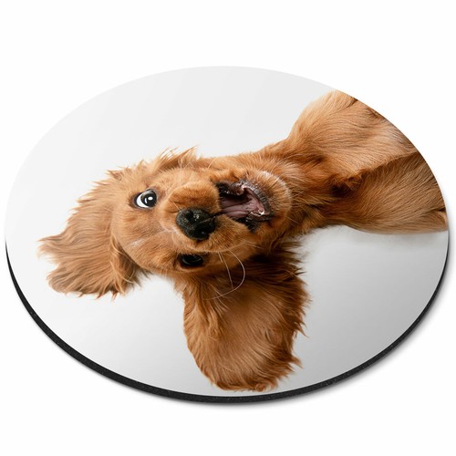 Round mouse mat english - round,