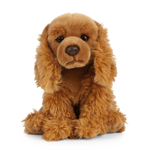 Sitting cocker spaniel - cocker, puppy