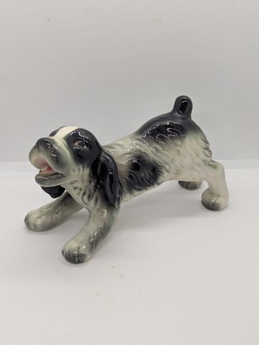 Goebel cocker spaniel puppy - goebel,