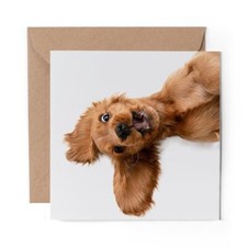 1 x Blank Greeting Card
