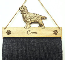 Working Cocker Spaniel Puppy