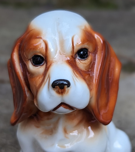 Vintage cocker spaniel - cocker,